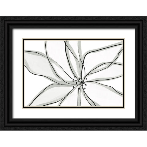 Fragile Flower Black Ornate Wood Framed Art Print with Double Matting by Uplusmestudio
