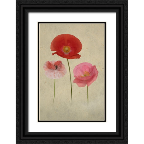 Friends Black Ornate Wood Framed Art Print with Double Matting by Urbanski, Richard