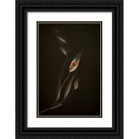 A Resting Place Black Ornate Wood Framed Art Print with Double Matting by Kiral, Cicek