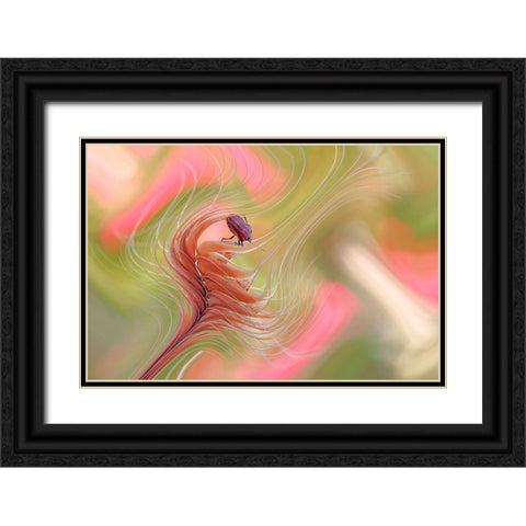 Color Storm... Black Ornate Wood Framed Art Print with Double Matting by Dufour, Thierry