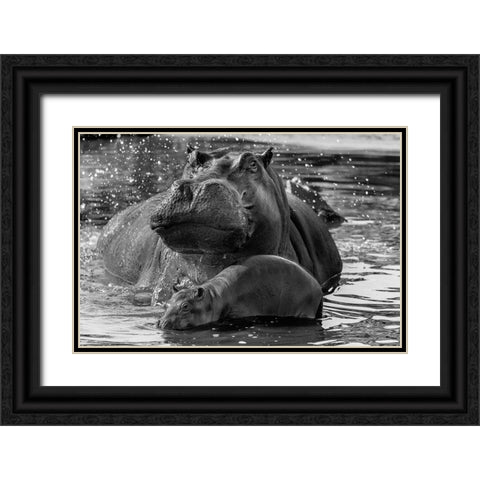 DonT Go Near It Black Ornate Wood Framed Art Print with Double Matting by Damico, Giuseppe
