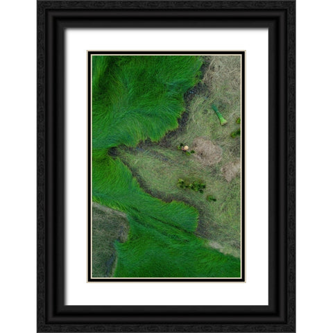 Harvesting Strabismus Black Ornate Wood Framed Art Print with Double Matting by Trung Dung, Ngo