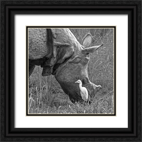 Beauty And The Beast! Black Ornate Wood Framed Art Print with Double Matting by Dhanorkar, Saurabh