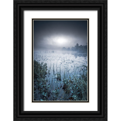 Scandinavian Morning Black Ornate Wood Framed Art Print with Double Matting by Pettersson, Benny