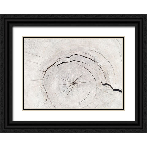 Texture 05 Black Ornate Wood Framed Art Print with Double Matting by 1x Studio III