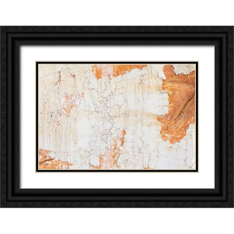 Texture 09 Black Ornate Wood Framed Art Print with Double Matting by 1x Studio III