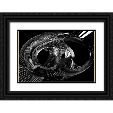Twisted Black Ornate Wood Framed Art Print with Double Matting by Wechsler, Robin