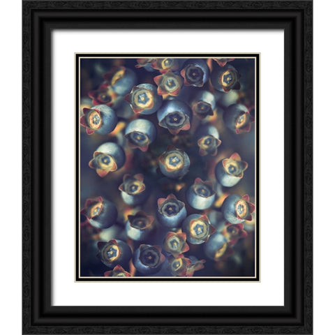 Blueberries Black Ornate Wood Framed Art Print with Double Matting by Zvinakeviciute, Kristina