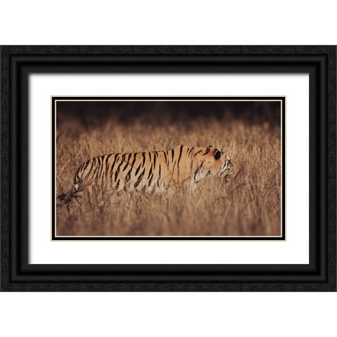 Artistic Tiger Camouflage Black Ornate Wood Framed Art Print with Double Matting by Sharma, Abhinav