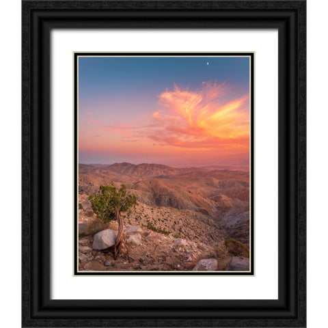 Desert Sunset Black Ornate Wood Framed Art Print with Double Matting by Iqbal, Syed
