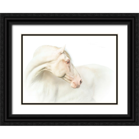 Mr. Blue Eyeab Black Ornate Wood Framed Art Print with Double Matting by Weerink, Celine