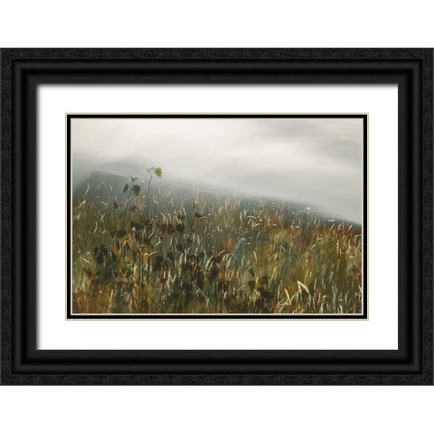 In the field Black Ornate Wood Framed Art Print with Double Matting by Talen, Nel