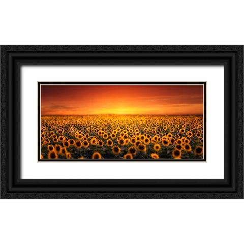 Sunset On Sunflower Field Black Ornate Wood Framed Art Print with Double Matting by Seo, Tiger