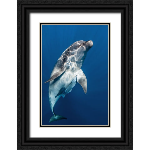 Hello you ! Black Ornate Wood Framed Art Print with Double Matting by Peneau, Cedric