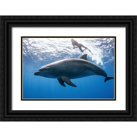 Dolphin And Human Black Ornate Wood Framed Art Print with Double Matting by Peneau, Cedric