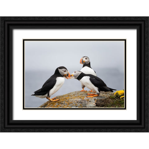 Trio Black Ornate Wood Framed Art Print with Double Matting by Fu, Molly