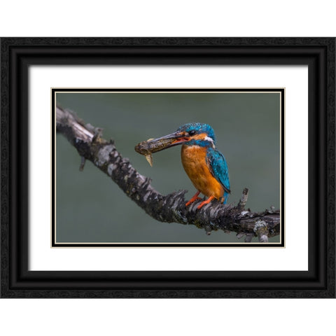 Dinner Time Black Ornate Wood Framed Art Print with Double Matting by Balantic, Peter