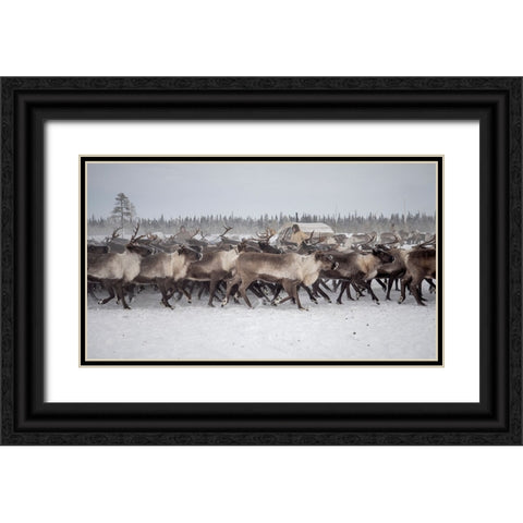 Herd In The Camp Black Ornate Wood Framed Art Print with Double Matting by Rebro, Marcel