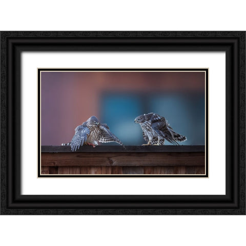 Dinner Time Black Ornate Wood Framed Art Print with Double Matting by Zhang, Ling