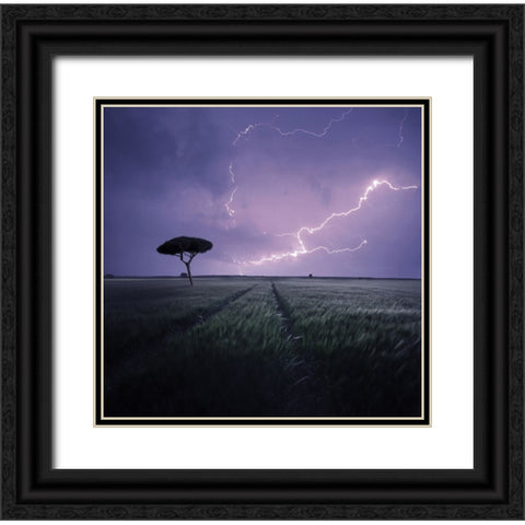 * Black Ornate Wood Framed Art Print with Double Matting by Zarys, Mindaugas
