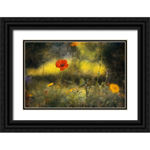 Poppy Black Ornate Wood Framed Art Print with Double Matting by Van Der, Jan