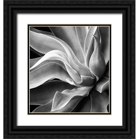 Agave Abstract, Summer 2022 Black Ornate Wood Framed Art Print with Double Matting by Wechsler, Robin