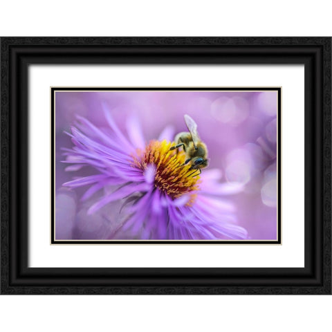 Hard Worker Black Ornate Wood Framed Art Print with Double Matting by Kazun, Andrii