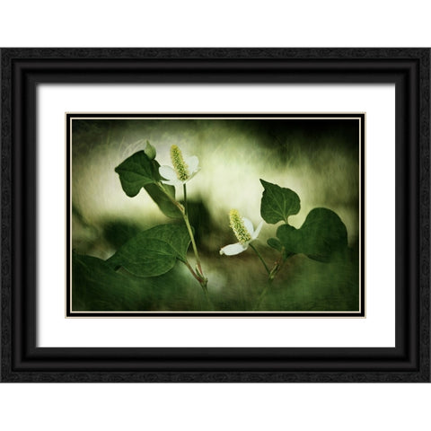 White reminiscence Black Ornate Wood Framed Art Print with Double Matting by Hirai, Takiko