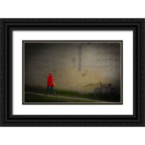 Vera Black Ornate Wood Framed Art Print with Double Matting by Gustafson Pro, Clas