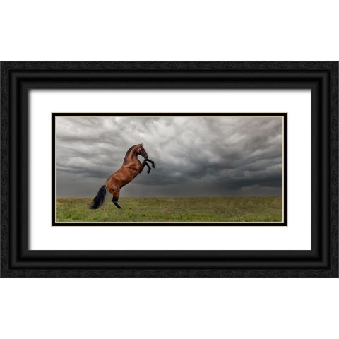 The king of the fields Black Ornate Wood Framed Art Print with Double Matting by Weerink, Celine