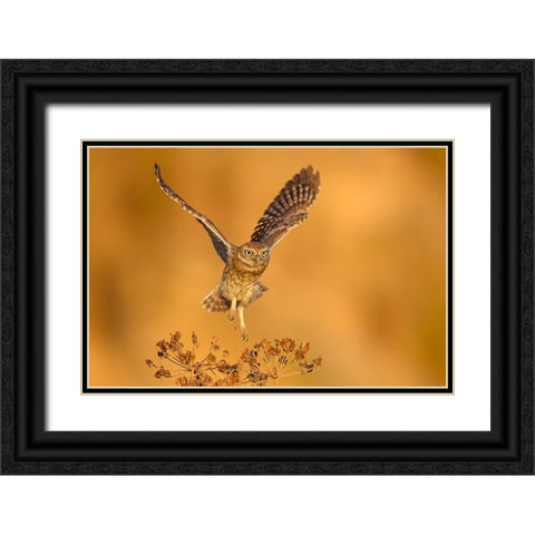 Gold Time Black Ornate Wood Framed Art Print with Double Matting by Rudaeff, Pablo