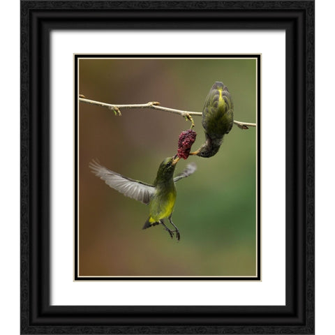Share Black Ornate Wood Framed Art Print with Double Matting by Muliani Hartojo, Angela