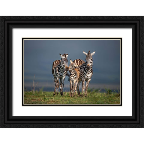 Family Portrait Black Ornate Wood Framed Art Print with Double Matting by Ortega, Xavier