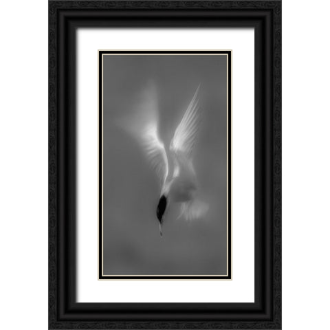 Searching Black Ornate Wood Framed Art Print with Double Matting by Zhang, Mei