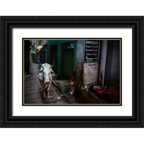 Interludes IV - A Photo Collection Black Ornate Wood Framed Art Print with Double Matting by Steverson, Michael