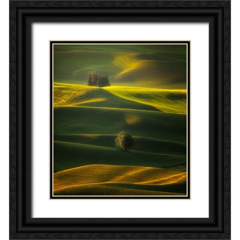 Golden Hours Of The Palouse Black Ornate Wood Framed Art Print with Double Matting by Zhang, Joan