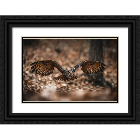 The Eurasian Eagle-Owl (Bubo Bubo) Black Ornate Wood Framed Art Print with Double Matting by Rozehnal, Jan