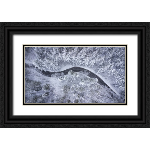 Italian Curves Black Ornate Wood Framed Art Print with Double Matting by Doretti, Pamela