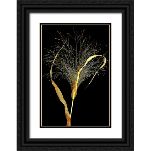 Golden Grass Black Ornate Wood Framed Art Print with Double Matting by Dingemans, Saskia