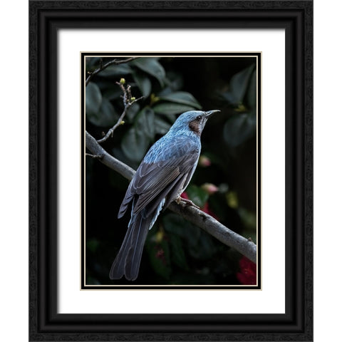 My Blue Bird Black Ornate Wood Framed Art Print with Double Matting by Hirai, Takiko