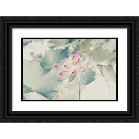 Pictorial_Lotus Black Ornate Wood Framed Art Print with Double Matting by Liu, Yanny