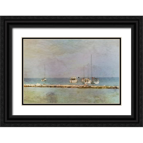 Bari Black Ornate Wood Framed Art Print with Double Matting by Gilleman, Monique