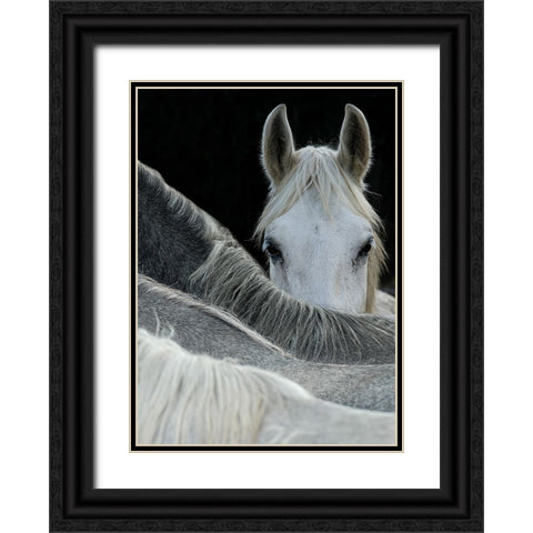 Look Black Ornate Wood Framed Art Print with Double Matting by Malovrh, Milan