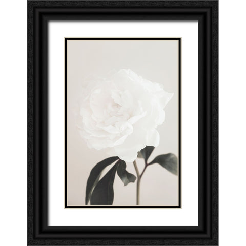 Peony 03 Black Ornate Wood Framed Art Print with Double Matting by 1x Studio III