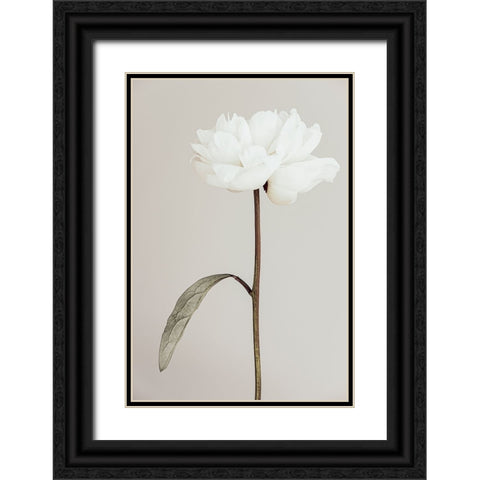 Peony 07 Black Ornate Wood Framed Art Print with Double Matting by 1X Studio III