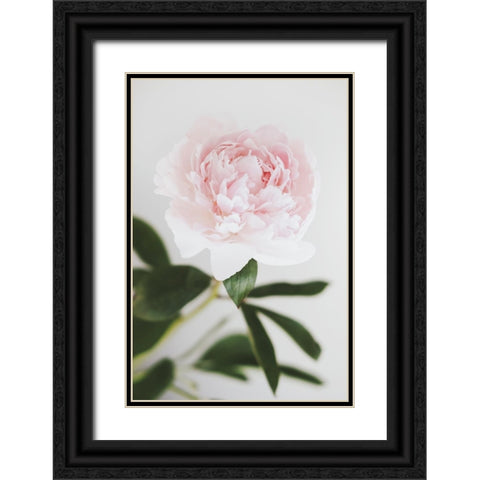 Peony 10 Black Ornate Wood Framed Art Print with Double Matting by 1x Studio III