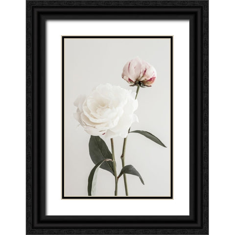 Peony 12 Black Ornate Wood Framed Art Print with Double Matting by 1x Studio III