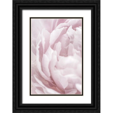 Peony 15 Black Ornate Wood Framed Art Print with Double Matting by 1x Studio III