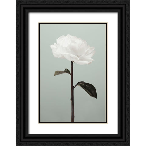 Peony 16 Black Ornate Wood Framed Art Print with Double Matting by 1x Studio III