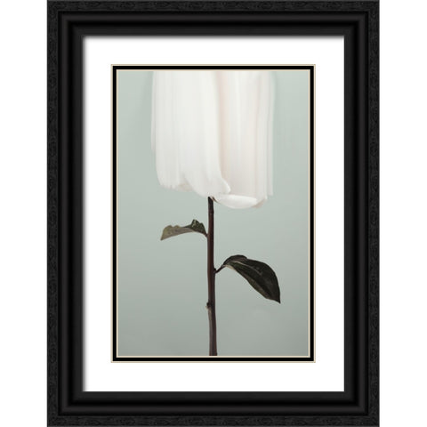 Peony 17 Black Ornate Wood Framed Art Print with Double Matting by 1x Studio III
